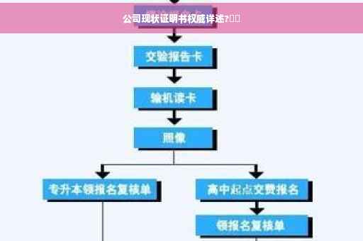公司现状证明书权威详述?⚡️