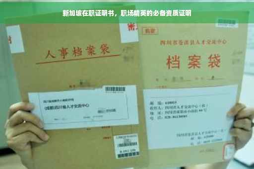 新加坡在职证明书，职场精英的必备资质证明
