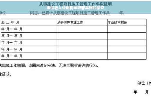 虚假收入证明揭示犯罪真相的探究