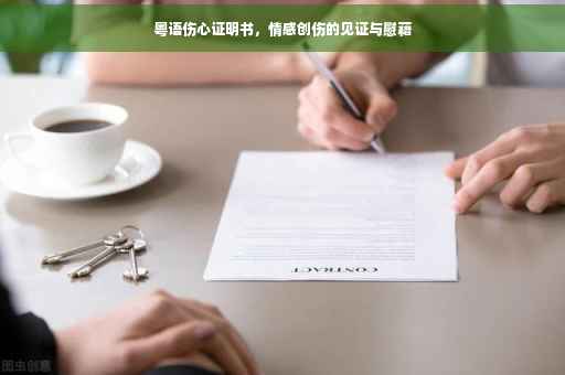 粤语伤心证明书，情感创伤的见证与慰藉