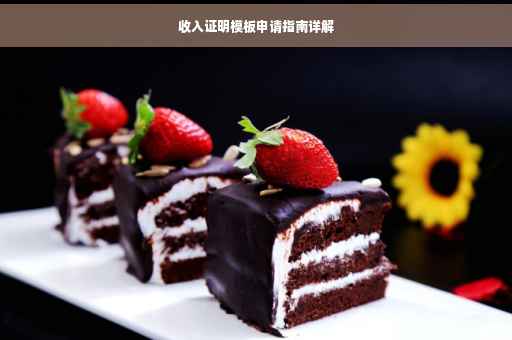 收入证明模板申请指南详解