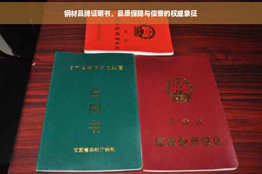 钢材品牌证明书，品质保障与信誉的权威象征