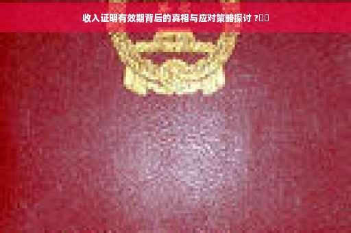 收入证明有效期背后的真相与应对策略探讨 ?⚡️