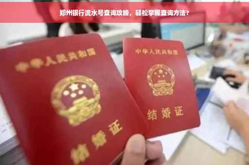 郑州银行流水号查询攻略，轻松掌握查询方法?