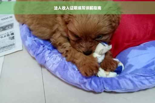 法人收入证明填写详解指南