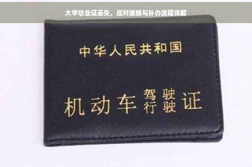大学毕业证丢失，应对策略与补办流程详解