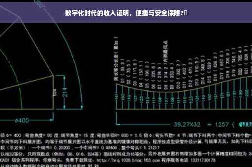 数字化时代的收入证明，便捷与安全保障?✨