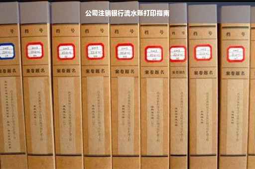 公司注销银行流水账打印指南
