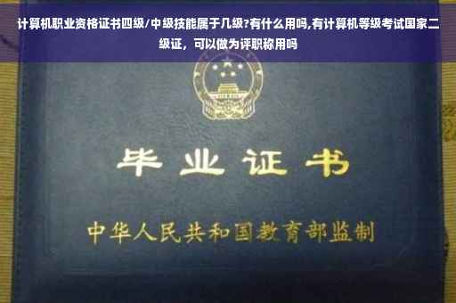 计算机职业资格证书四级/中级技能属于几级?有什么用吗,有计算机等级考试国家二级证，可以做为评职称用吗