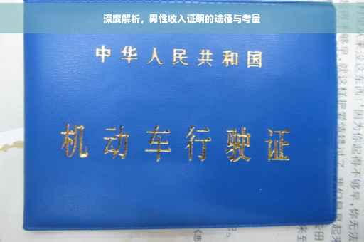 深度解析，男性收入证明的途径与考量