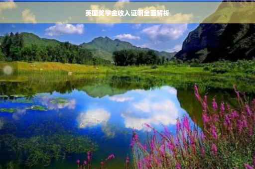英国奖学金收入证明全面解析