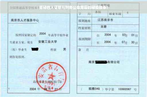 揭秘收入证明与财务公章背后的秘密故事！