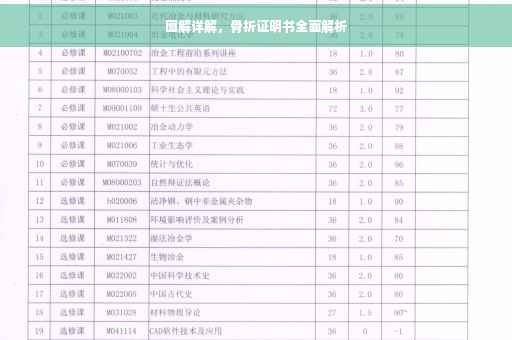 图解详解，骨折证明书全面解析