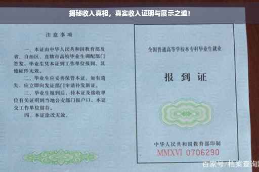 揭秘收入真相，真实收入证明与展示之道！