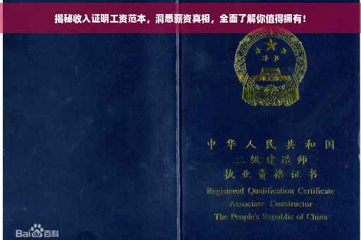 揭秘收入证明工资范本，洞悉薪资真相，全面了解你值得拥有！