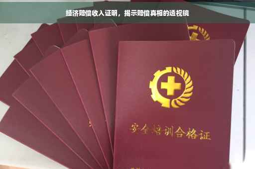 经济赔偿收入证明，揭示赔偿真相的透视镜