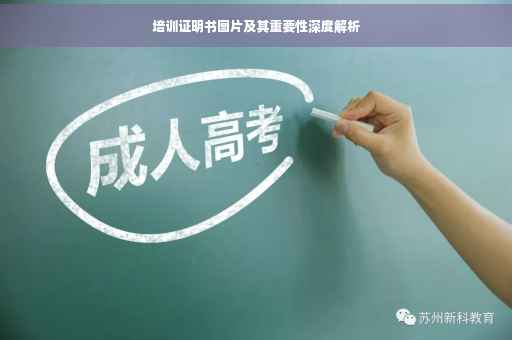 培训证明书图片及其重要性深度解析