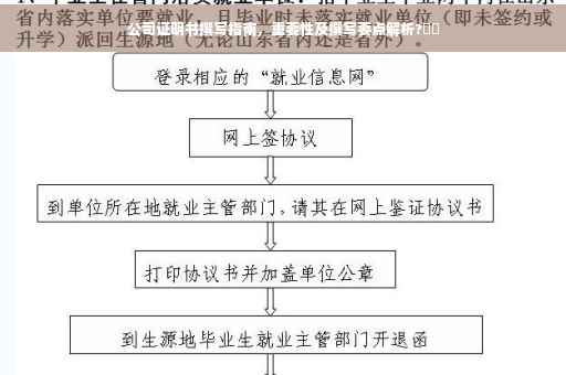 公司证明书撰写指南，重要性及撰写要点解析?⚡️