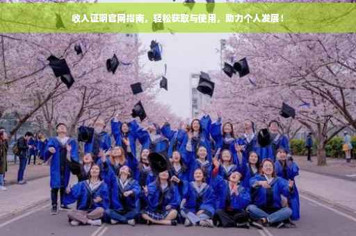 收入证明官网指南，轻松获取与使用，助力个人发展！