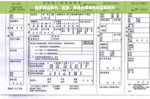 俄罗斯证明书，背景、用途与重要性的深度解析