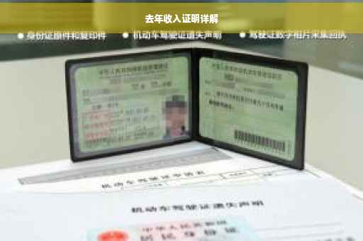 去年收入证明详解