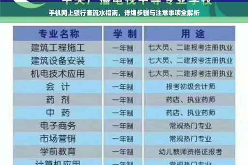 手机网上银行查流水指南，详细步骤与注意事项全解析