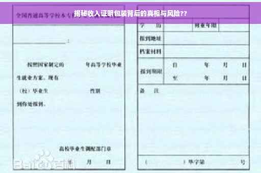 揭秘收入证明包装背后的真相与风险??