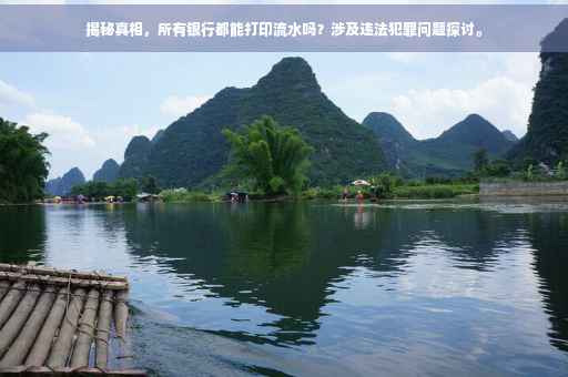 揭秘真相，所有银行都能打印流水吗？涉及违法犯罪问题探讨。