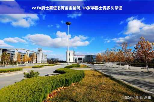 cefa爵士舞证书有含金量吗,18岁学爵士舞多久拿证