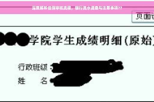 深度解析低保审核流程，银行流水调查与注意事项??