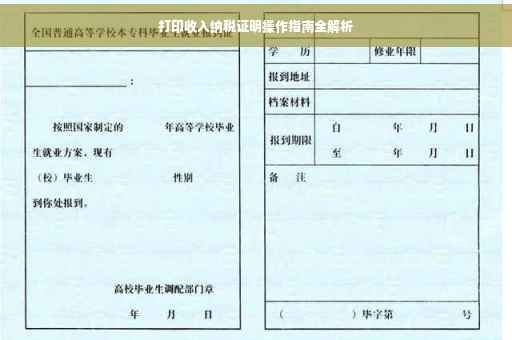 打印收入纳税证明操作指南全解析