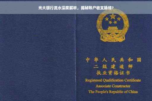 光大银行流水深度解析，揭秘账户收支脉络?
