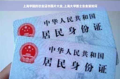 上海学院的毕业证书图片大全,上海大学博士含金量如何