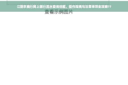 江阴农商行网上银行流水查询详解，操作指南与注意事项全攻略??