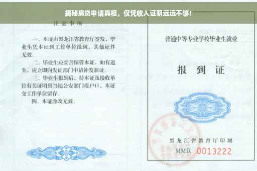 揭秘房贷申请真相，仅凭收入证明远远不够！