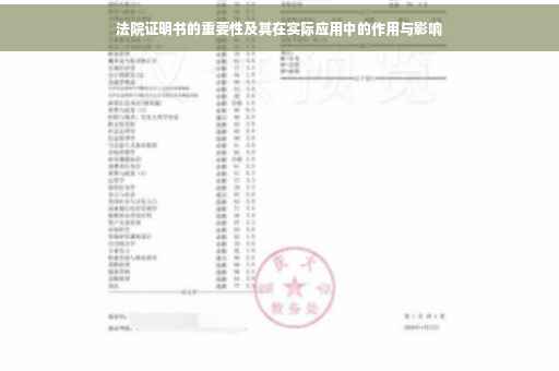 法院证明书的重要性及其在实际应用中的作用与影响