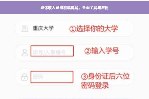 退休收入证明材料详解，全面了解与应用