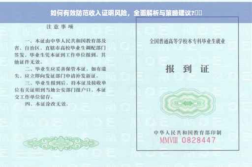 如何有效防范收入证明风险，全面解析与策略建议?⚡️