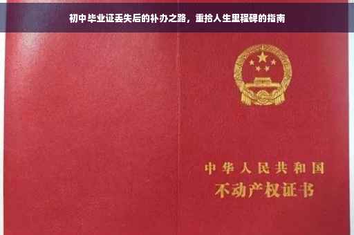 初中毕业证丢失后的补办之路，重拾人生里程碑的指南