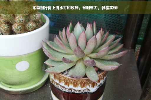 东莞银行网上流水打印攻略，省时省力，轻松实现！