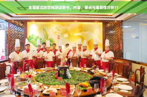 全面解读肺部检测证明书，内容、要点与重要性分析??