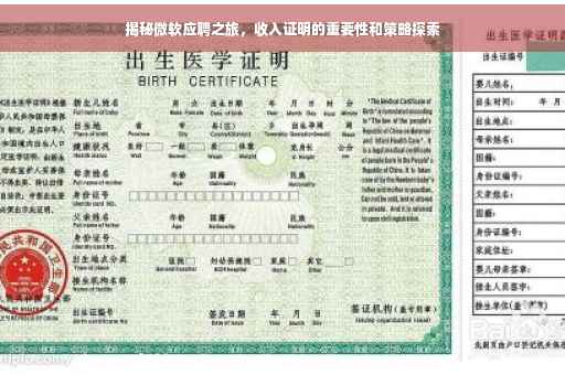 揭秘微软应聘之旅，收入证明的重要性和策略探索