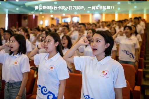低保查询银行卡流水能力解析，一篇文章解析??