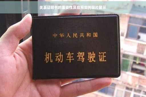 关系证明书的重要性及应用实例图片展示