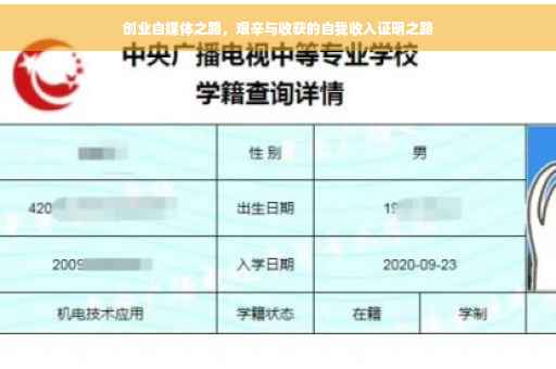创业自媒体之路，艰辛与收获的自我收入证明之路