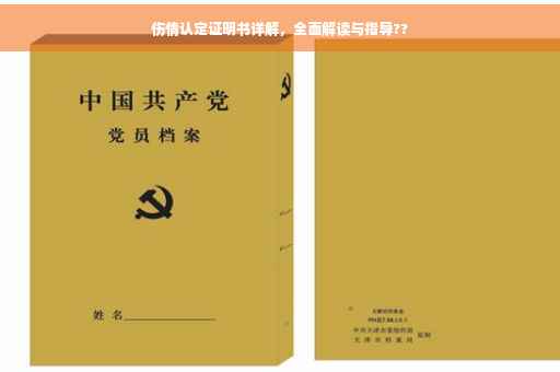 伤情认定证明书详解，全面解读与指导??