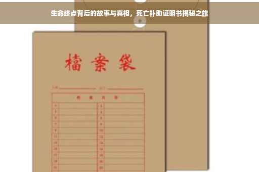 生命终点背后的故事与真相，死亡补助证明书揭秘之旅