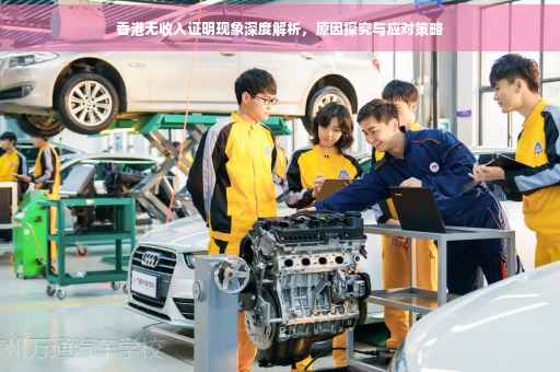 香港无收入证明现象深度解析，原因探究与应对策略