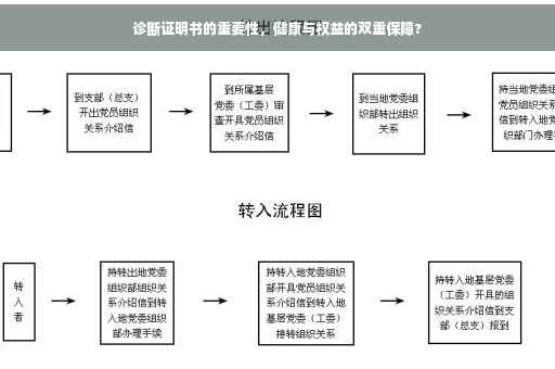 诊断证明书的重要性，健康与权益的双重保障?