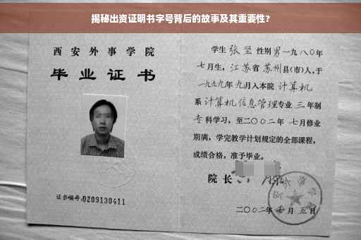 揭秘出资证明书字号背后的故事及其重要性?